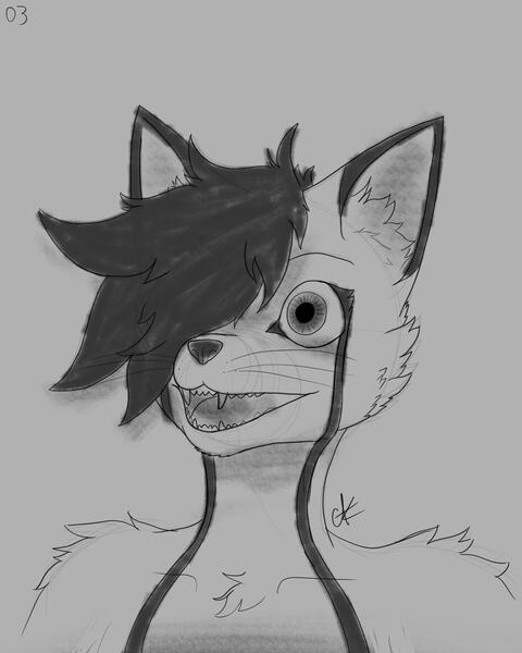 Unshaded, Bust